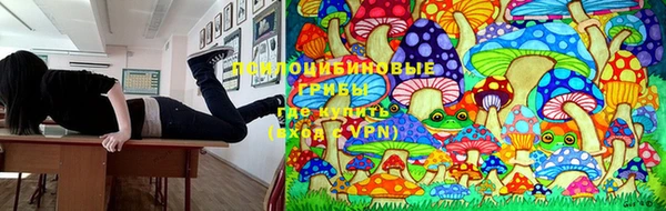 MDMA Premium VHQ Богородск