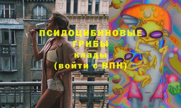2c-b Богданович